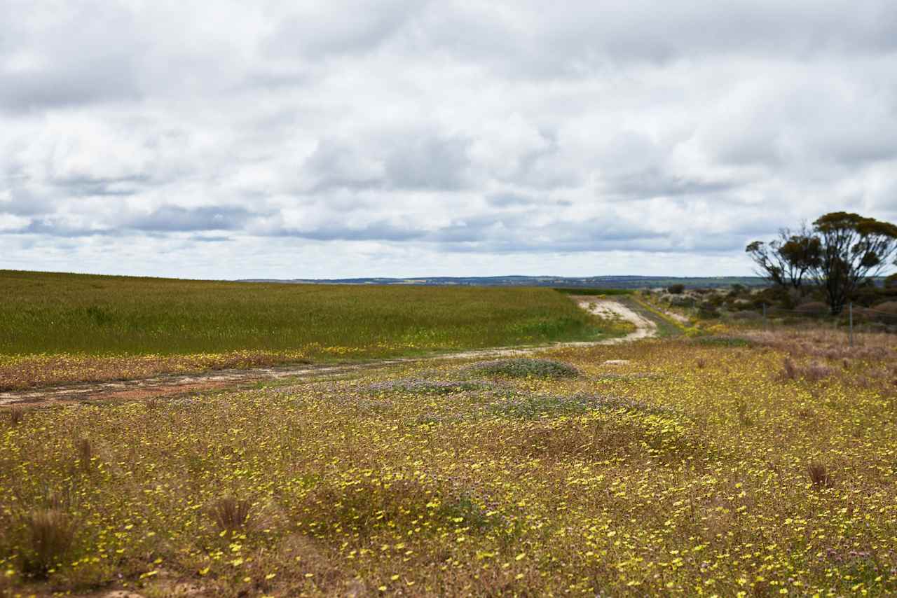 Clearview Farm