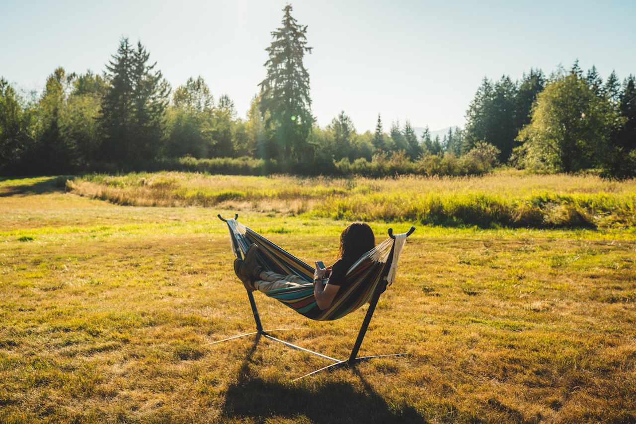 Relaxing in the hammock. 