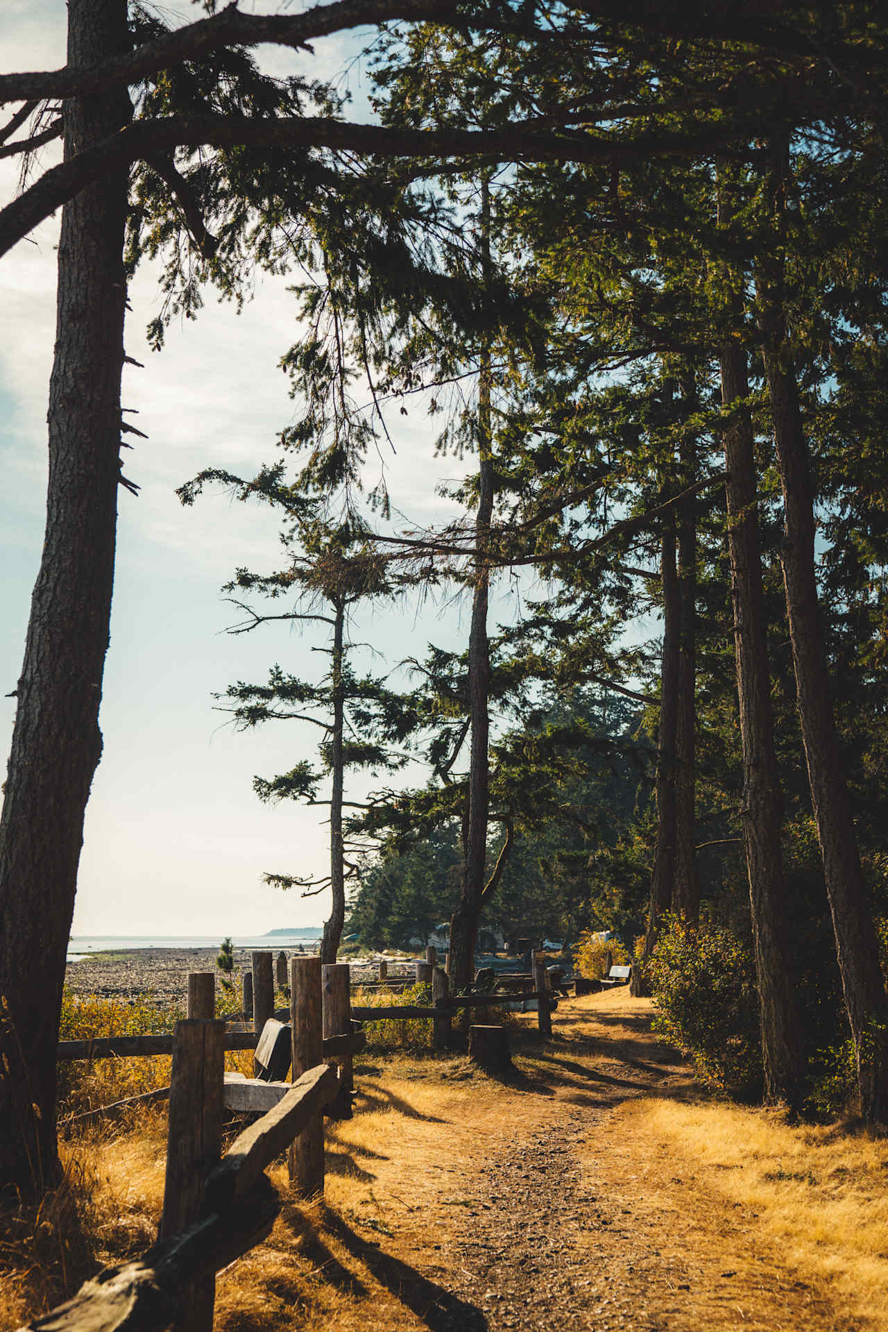 Nearby Kitty Coleman Provincial Park. 