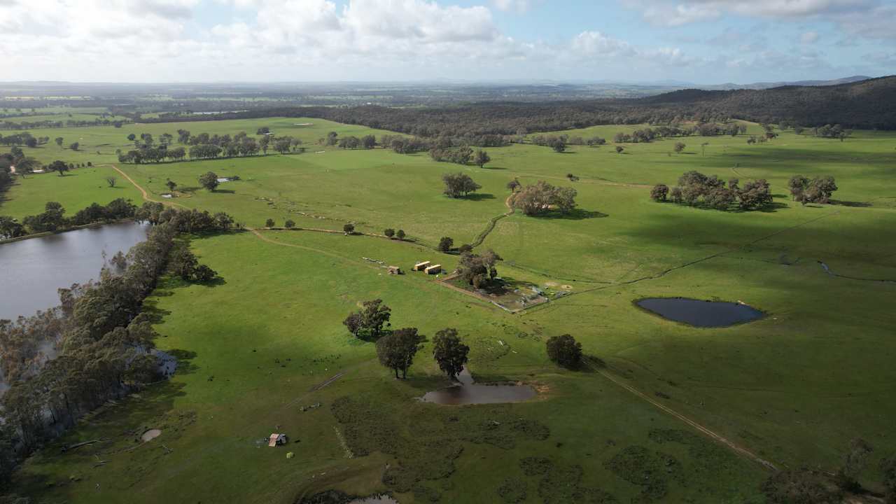 Drone view