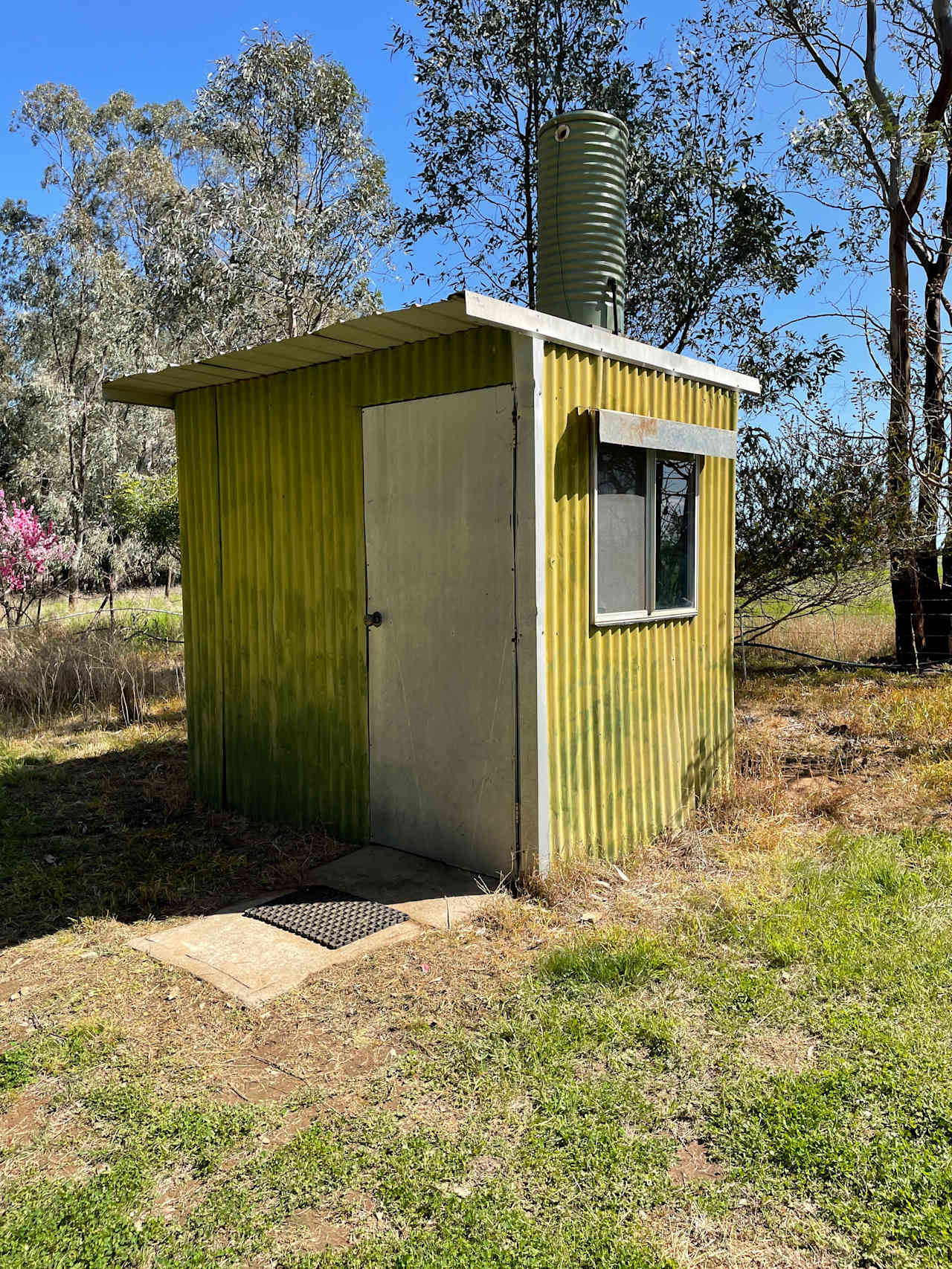 Cudgella on Bundidgerry Creek