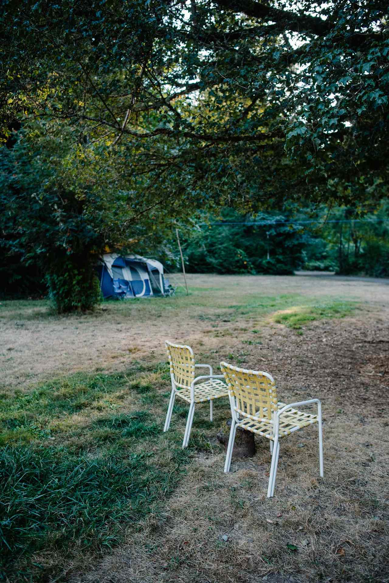 The communal sitting area under a tree