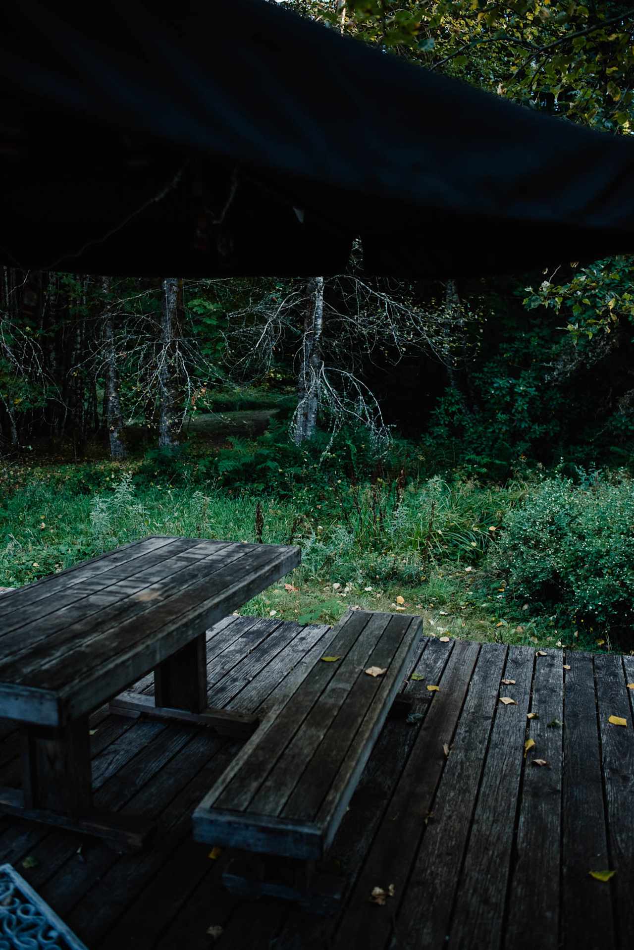 Deck with nice seating