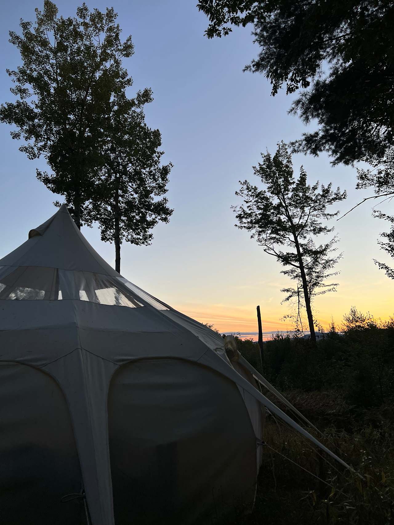 Private Forest with a View!