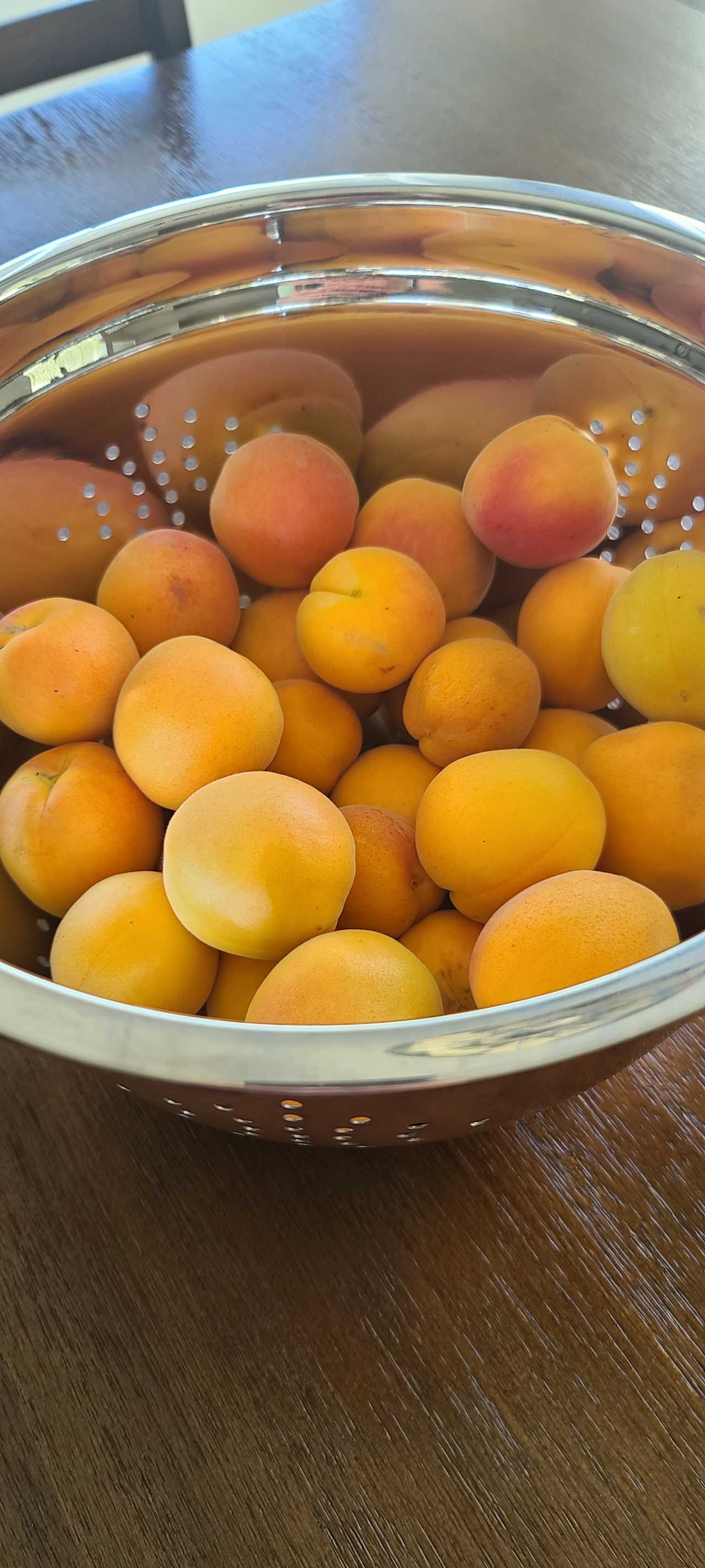 Apricots