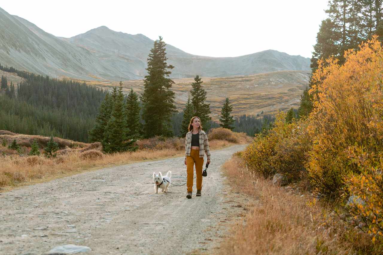 My pup and I went for a walk along the road as the sun set.