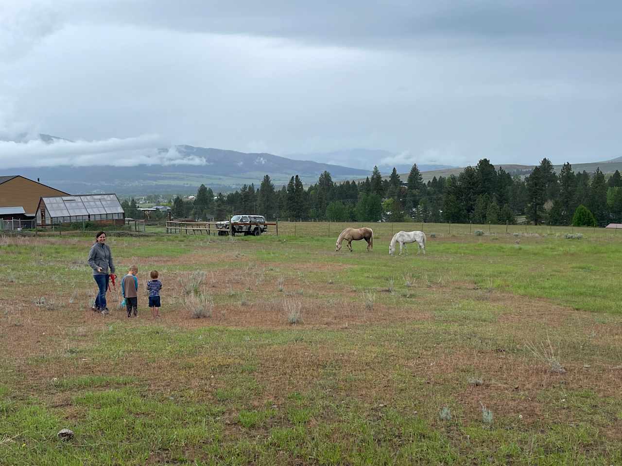 The Boys’ Farm