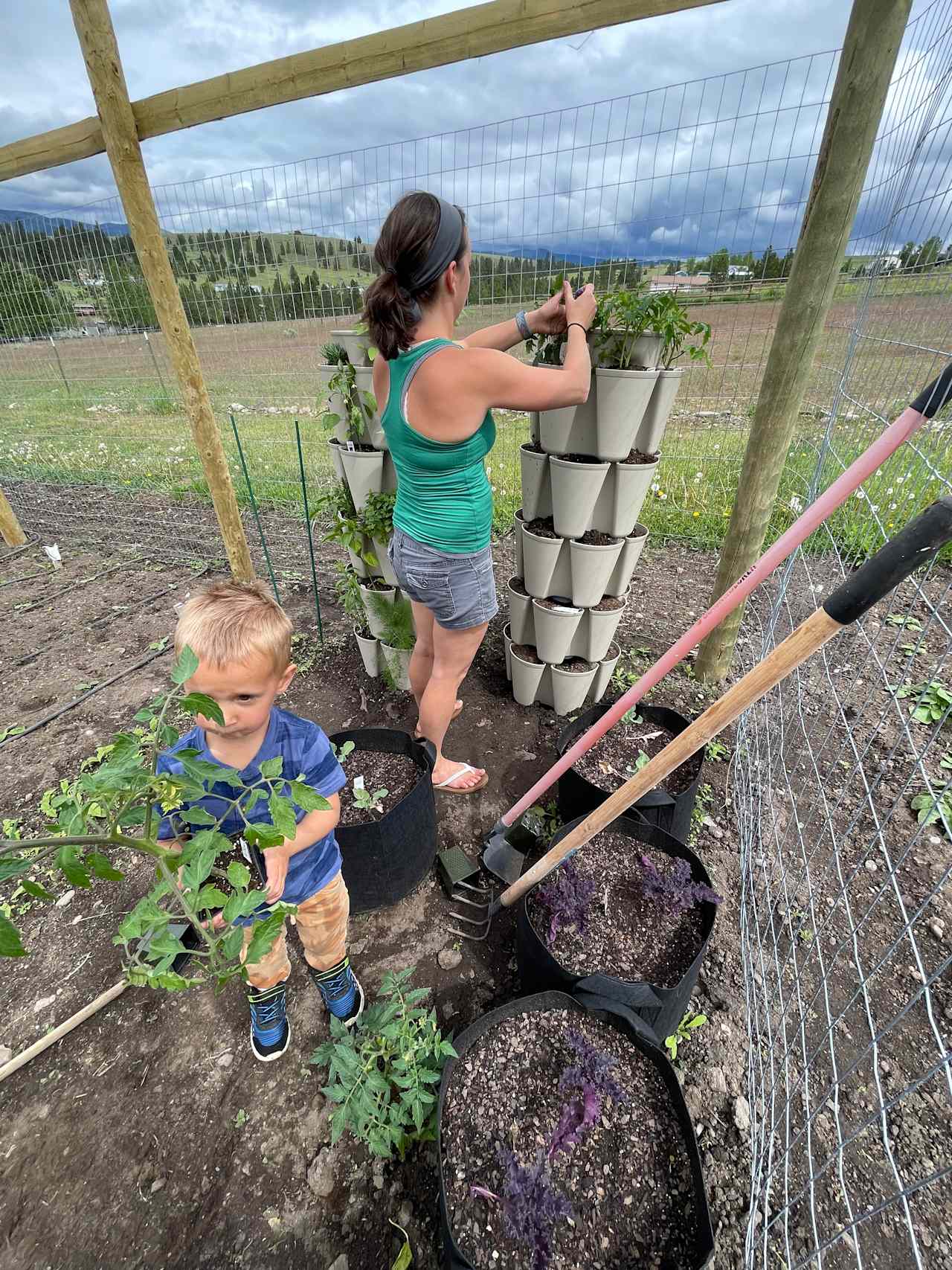 The Boys’ Farm