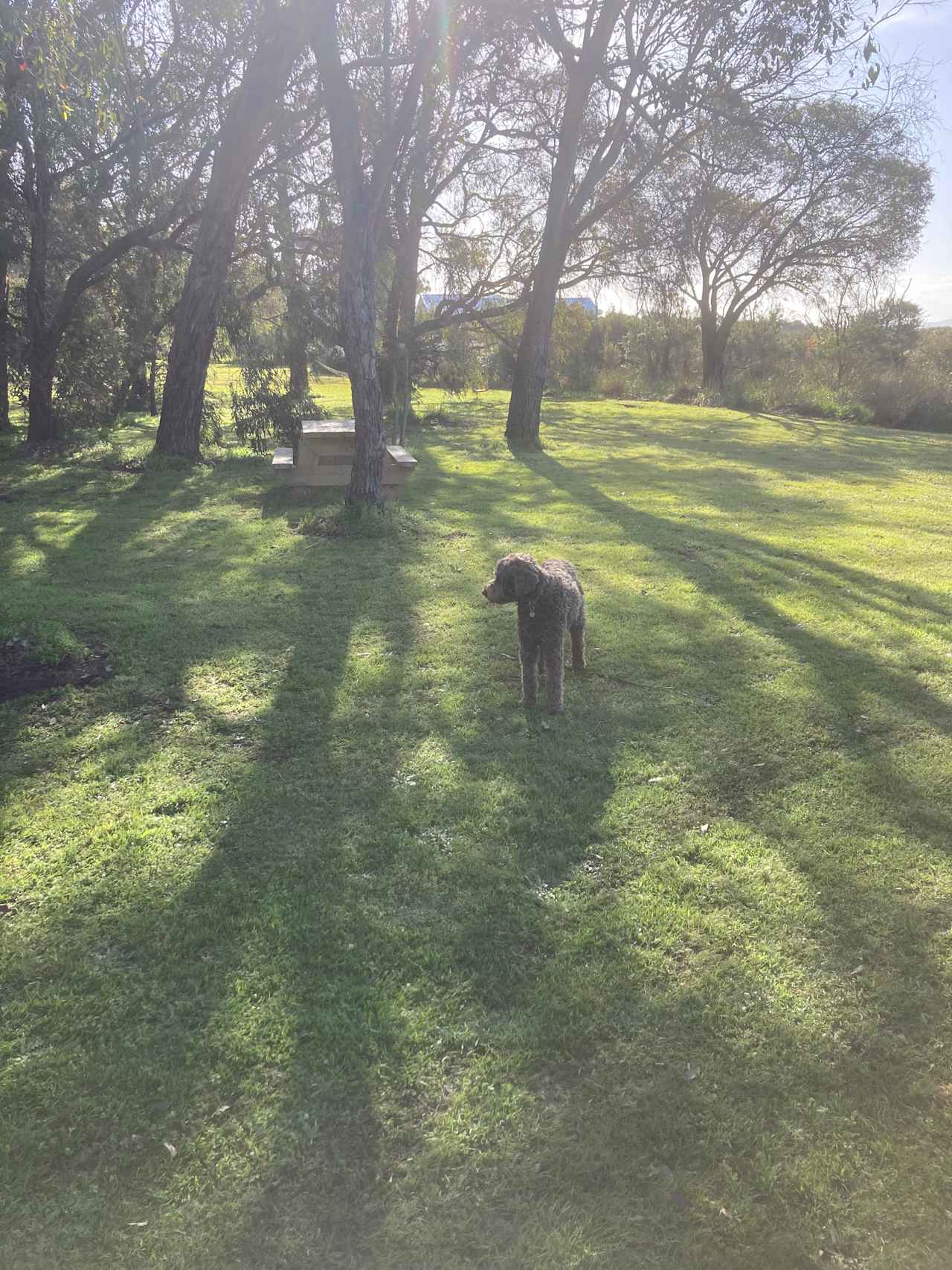 Inverloch - Bunurong Country