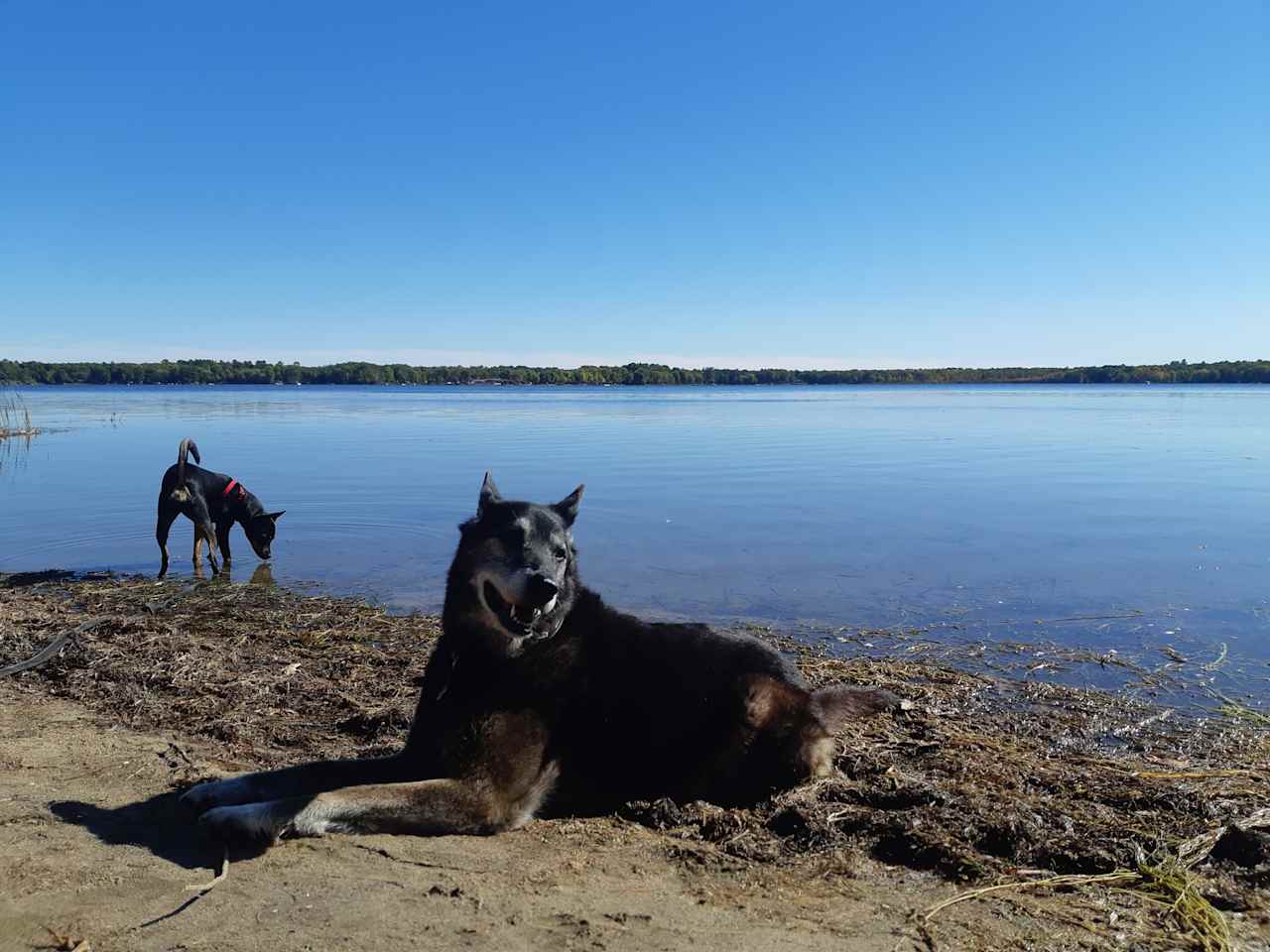 Sparrow Lake Camp