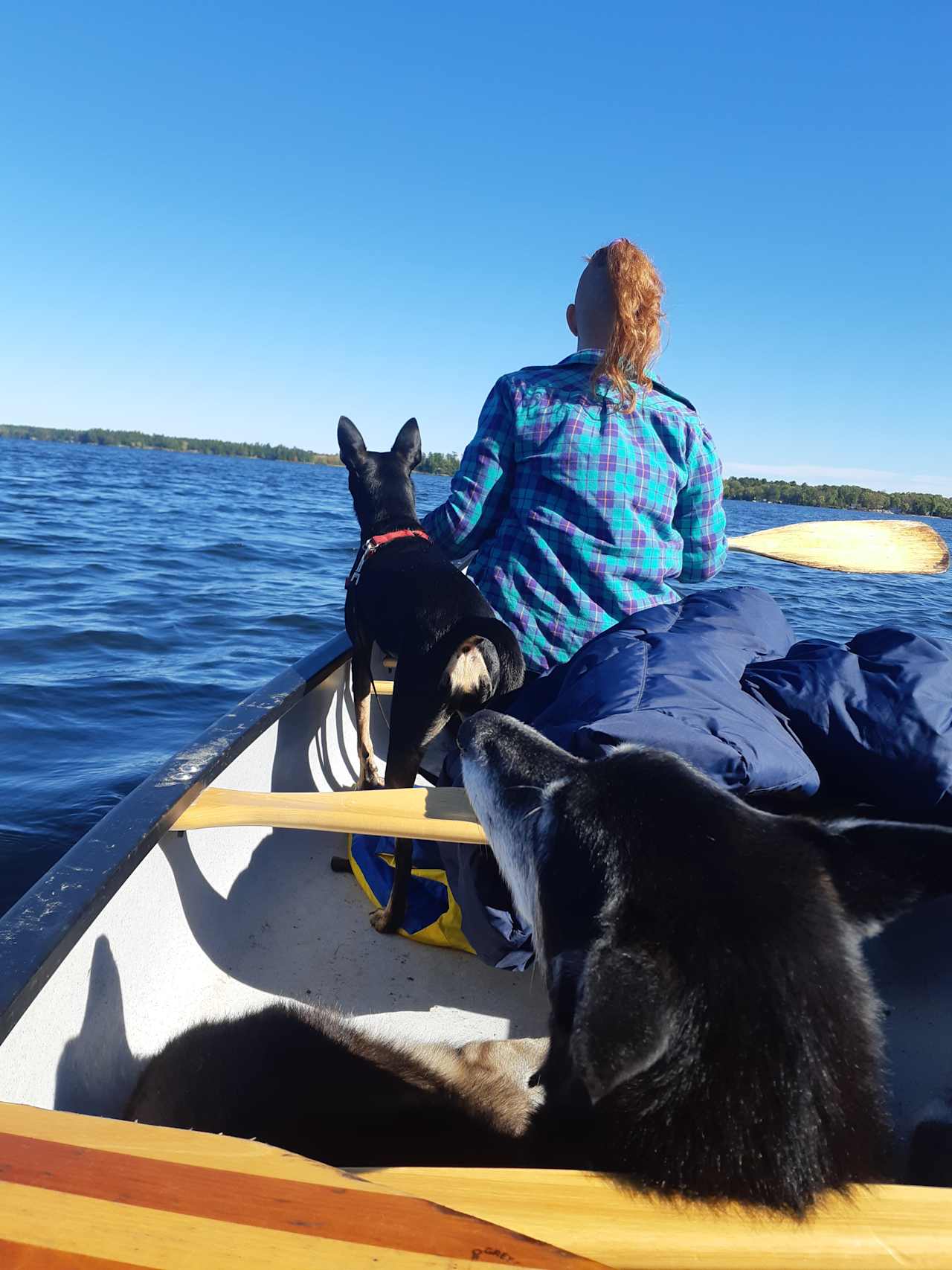 Sparrow Lake Camp