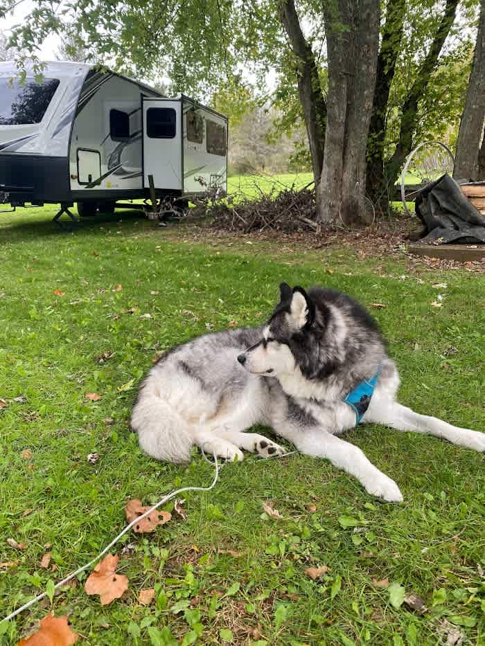 Riverside Camping Site