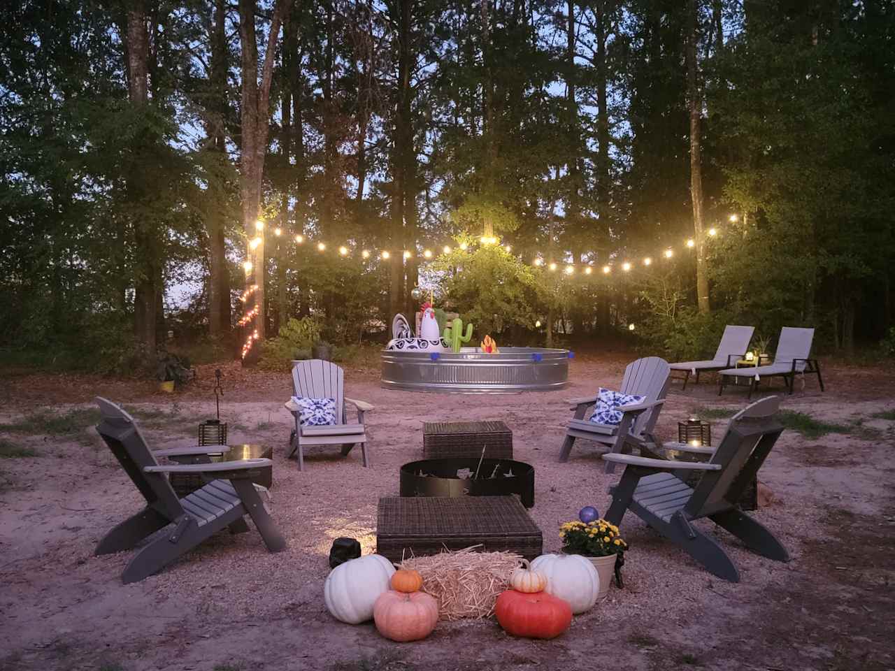 Outpost 203 - Camp & Glamp