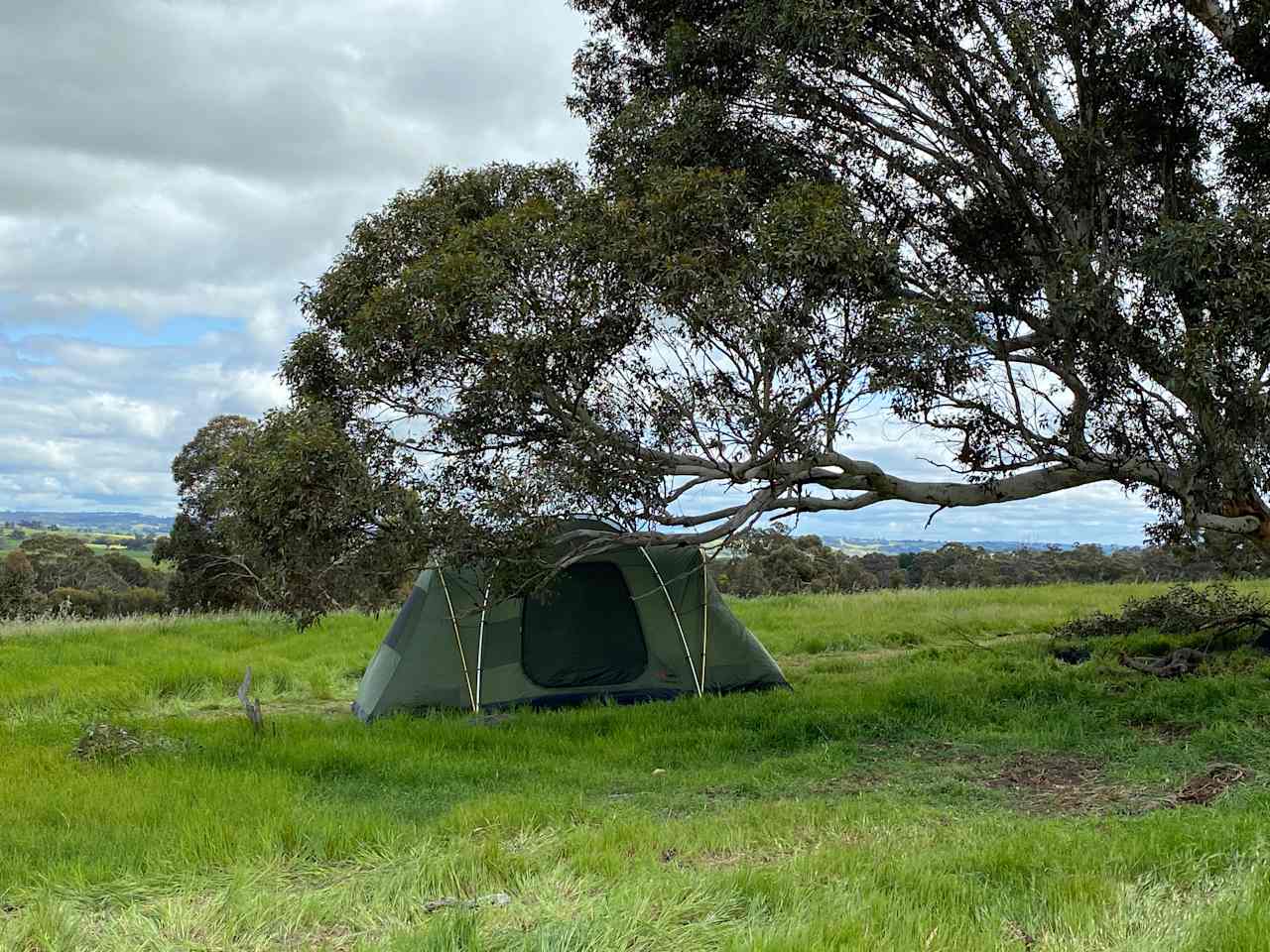 BrookHempTon Tree Farm