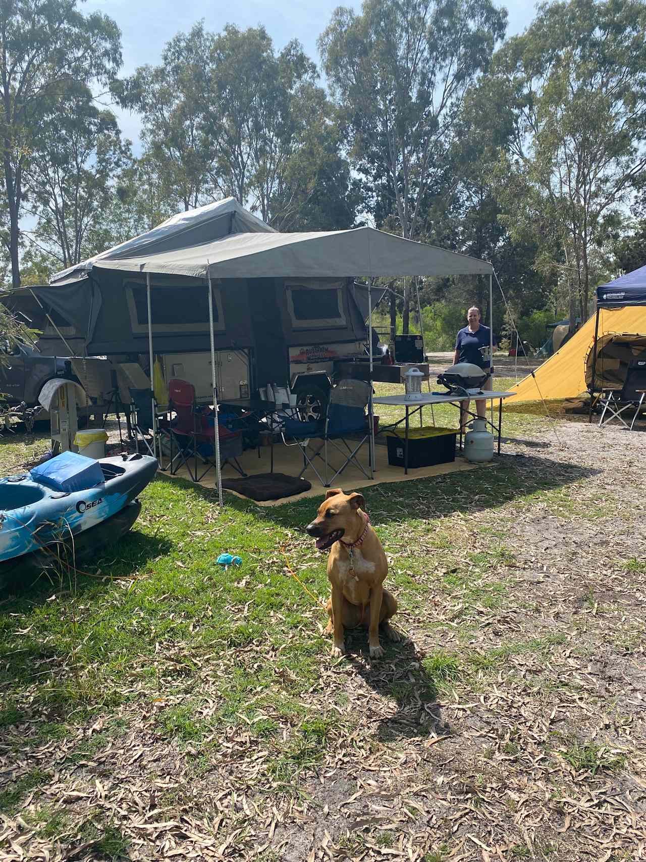 Doggos welcome! Sand and grass under foot 