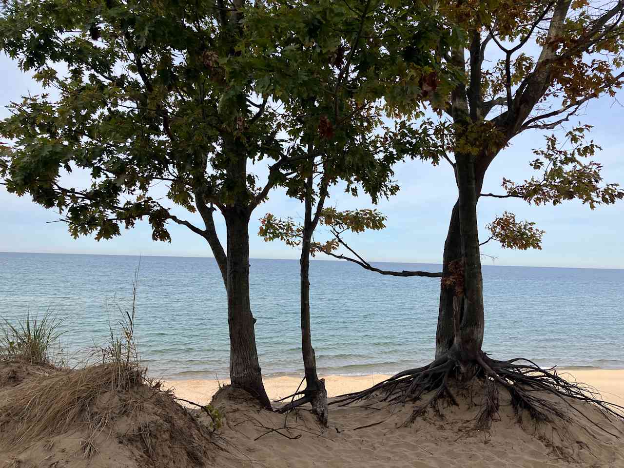 Top of the Saugatuck Dunes 