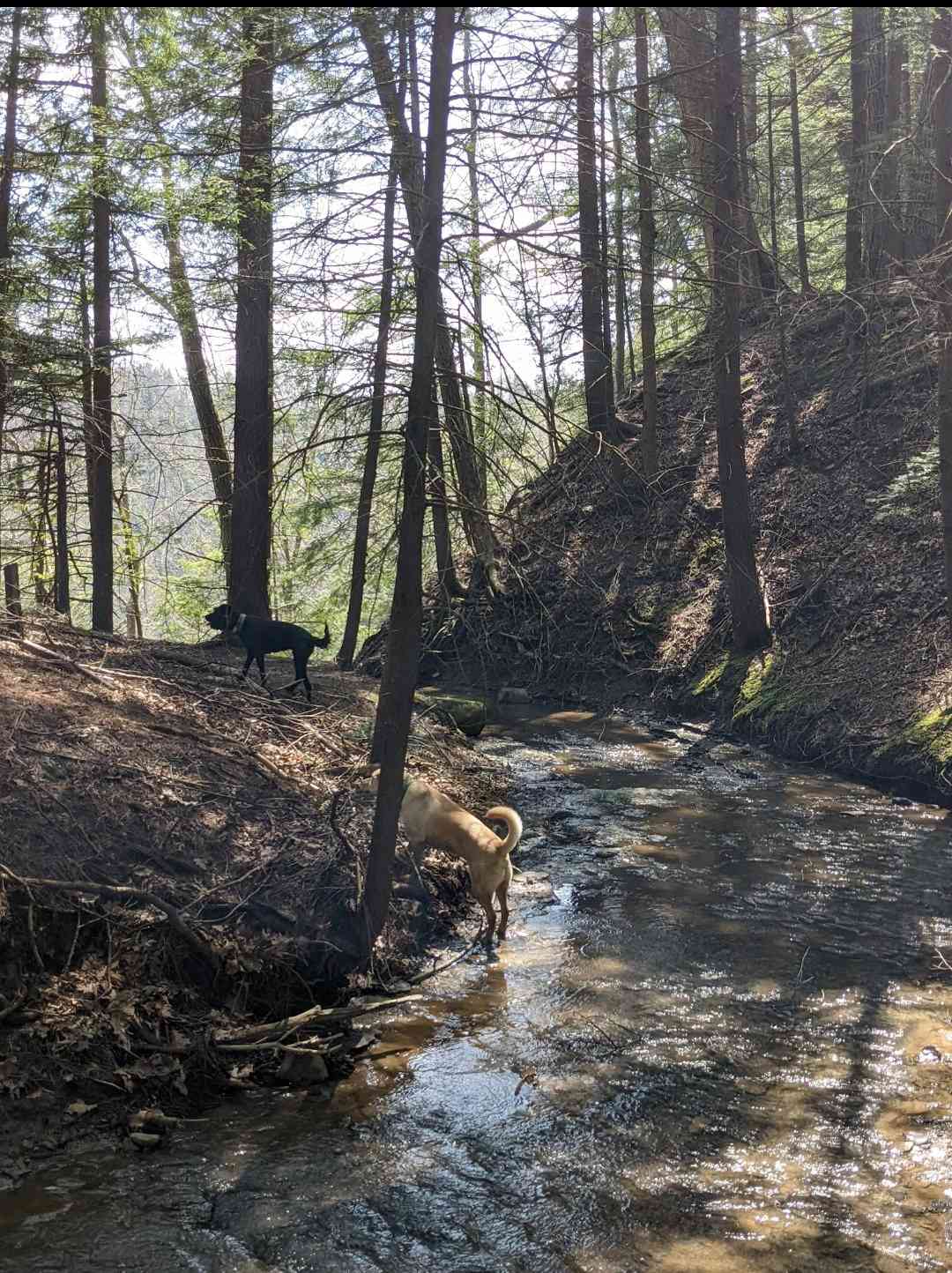 Take a hike down a beautiful trail to a waterfall.