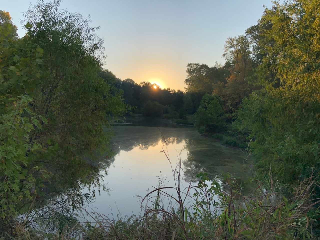 Beautiful sunrise at Dragonfly Pond