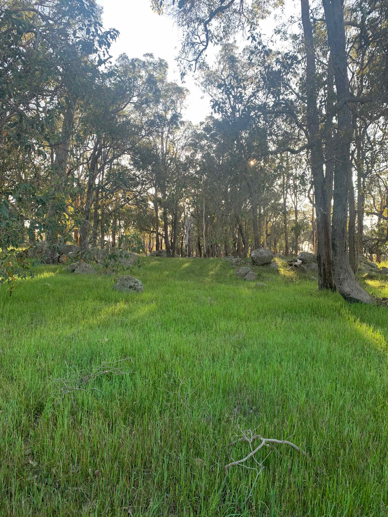 Blackwood River Estate