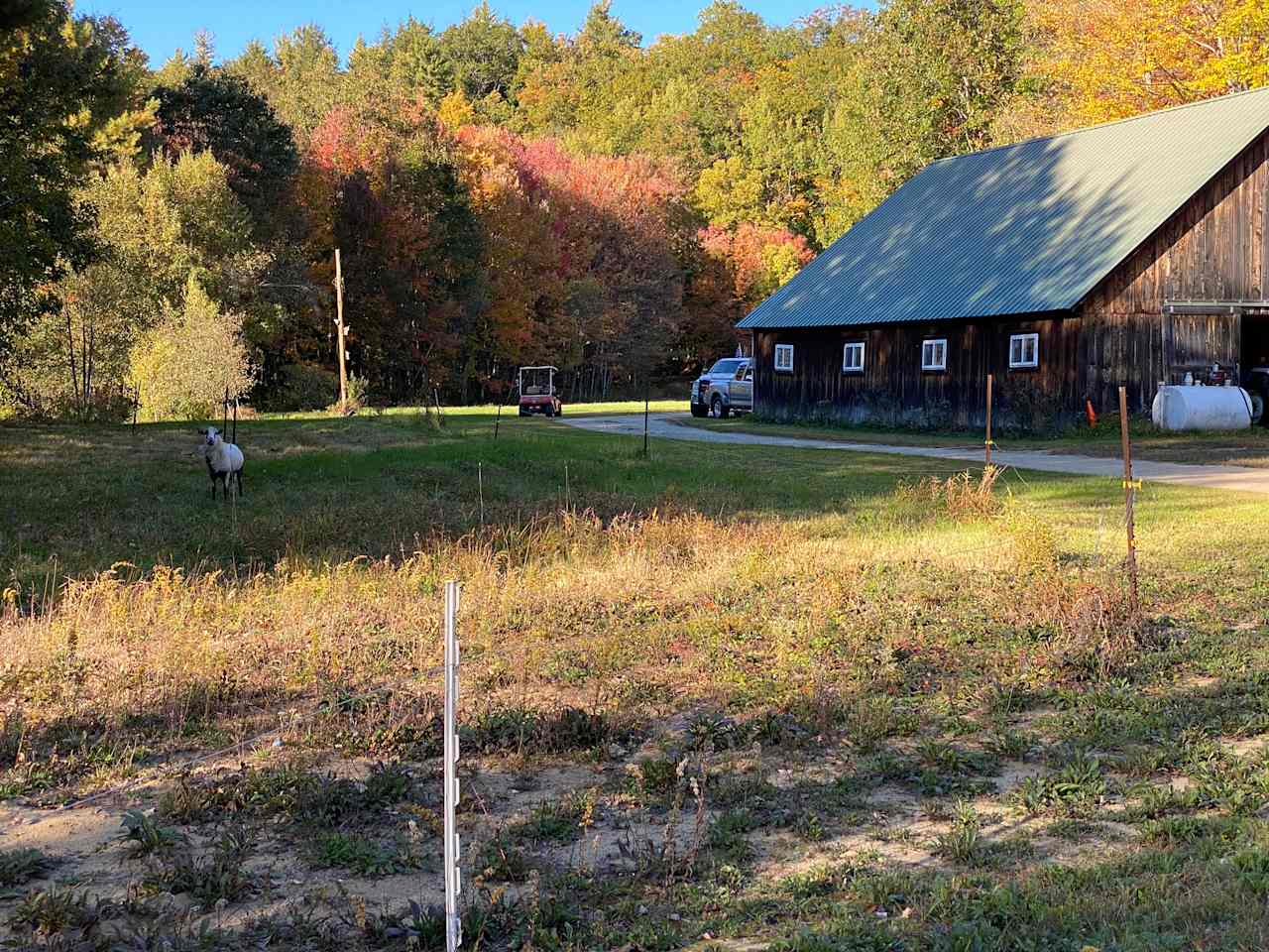 One of the barns on the property