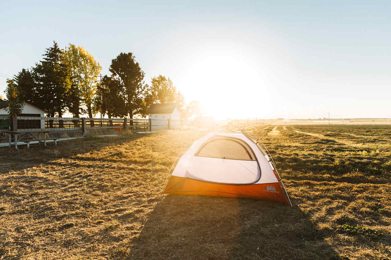 Plenty of space in the large, open field to set up camp