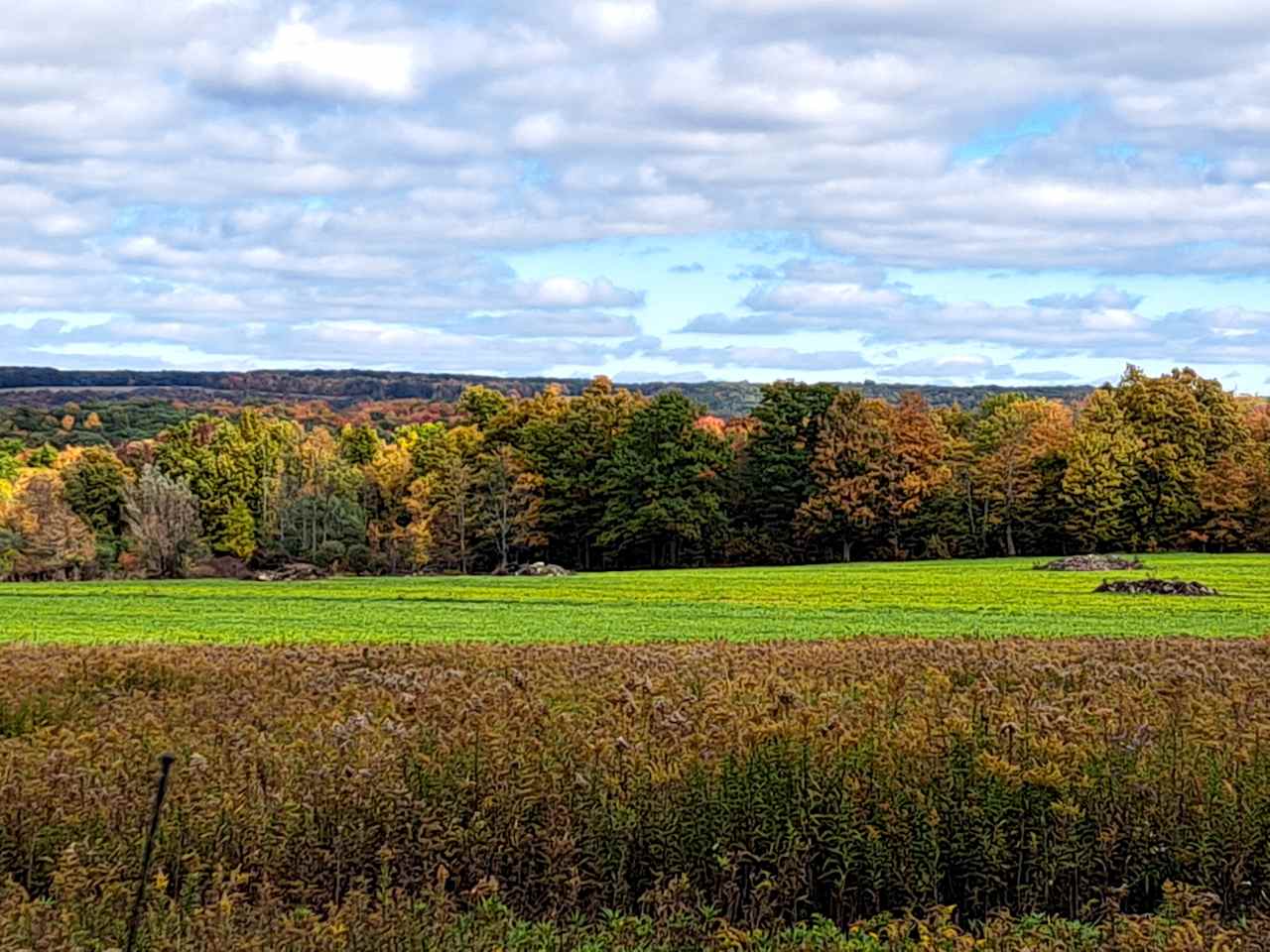 Beacon of Light Farms