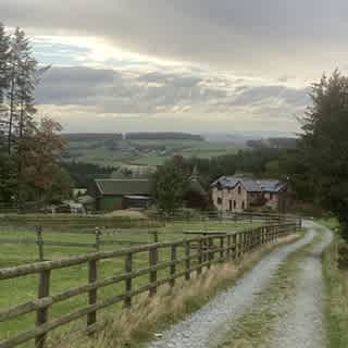 Nipstone Campsite