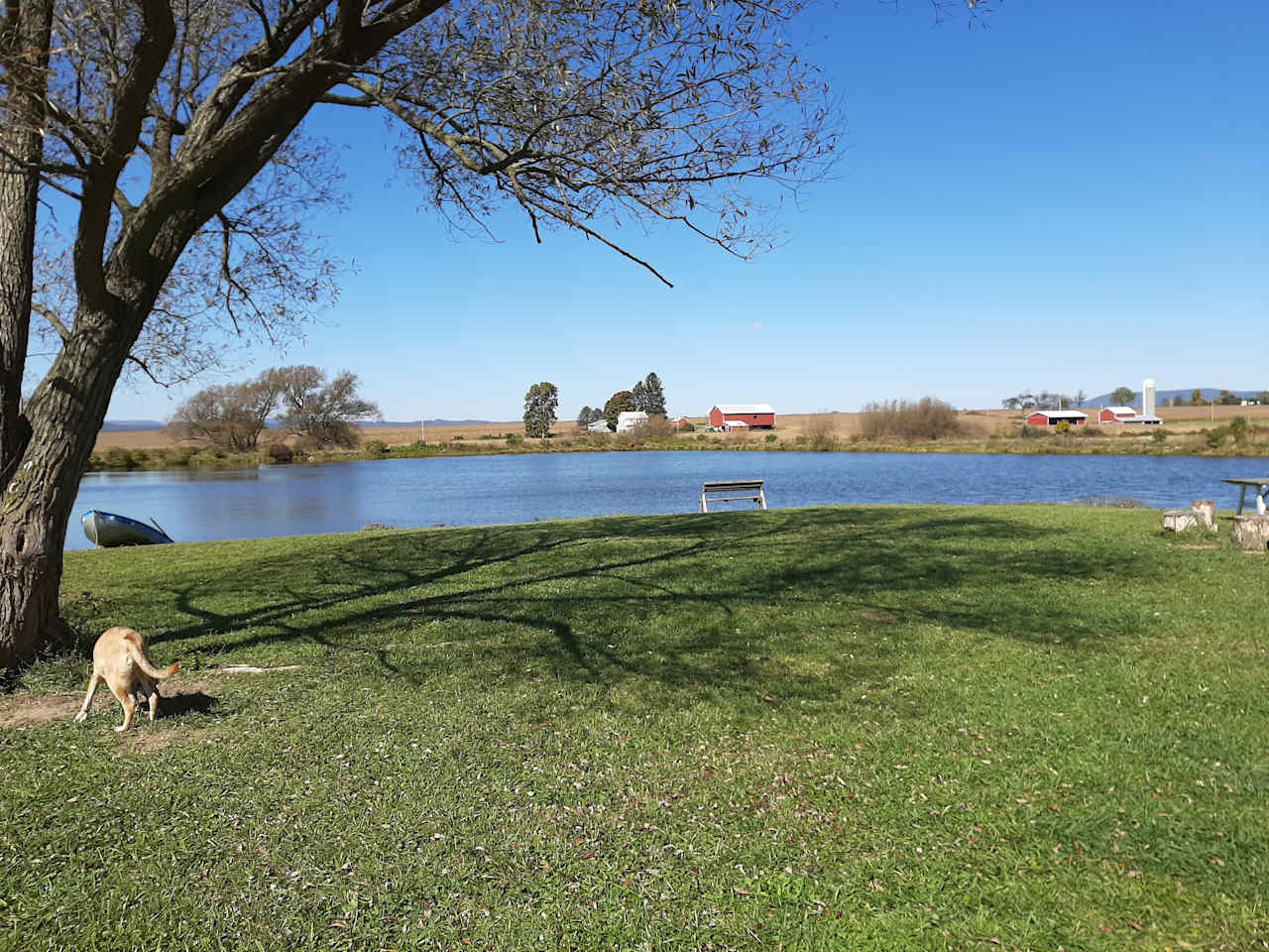 Paradise By The Pond