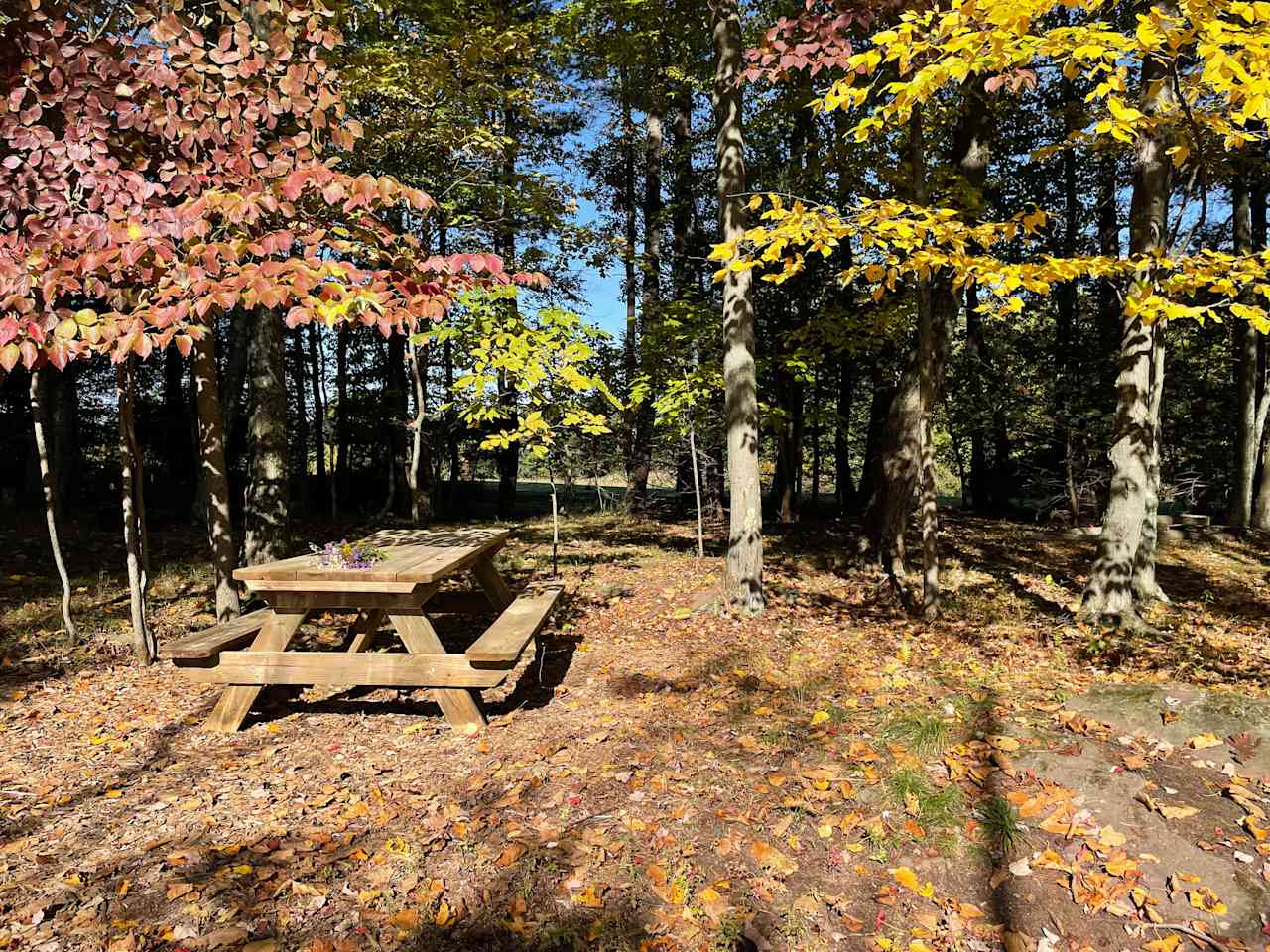 CampsiteDiscGolf @ HighHorizonsFarm