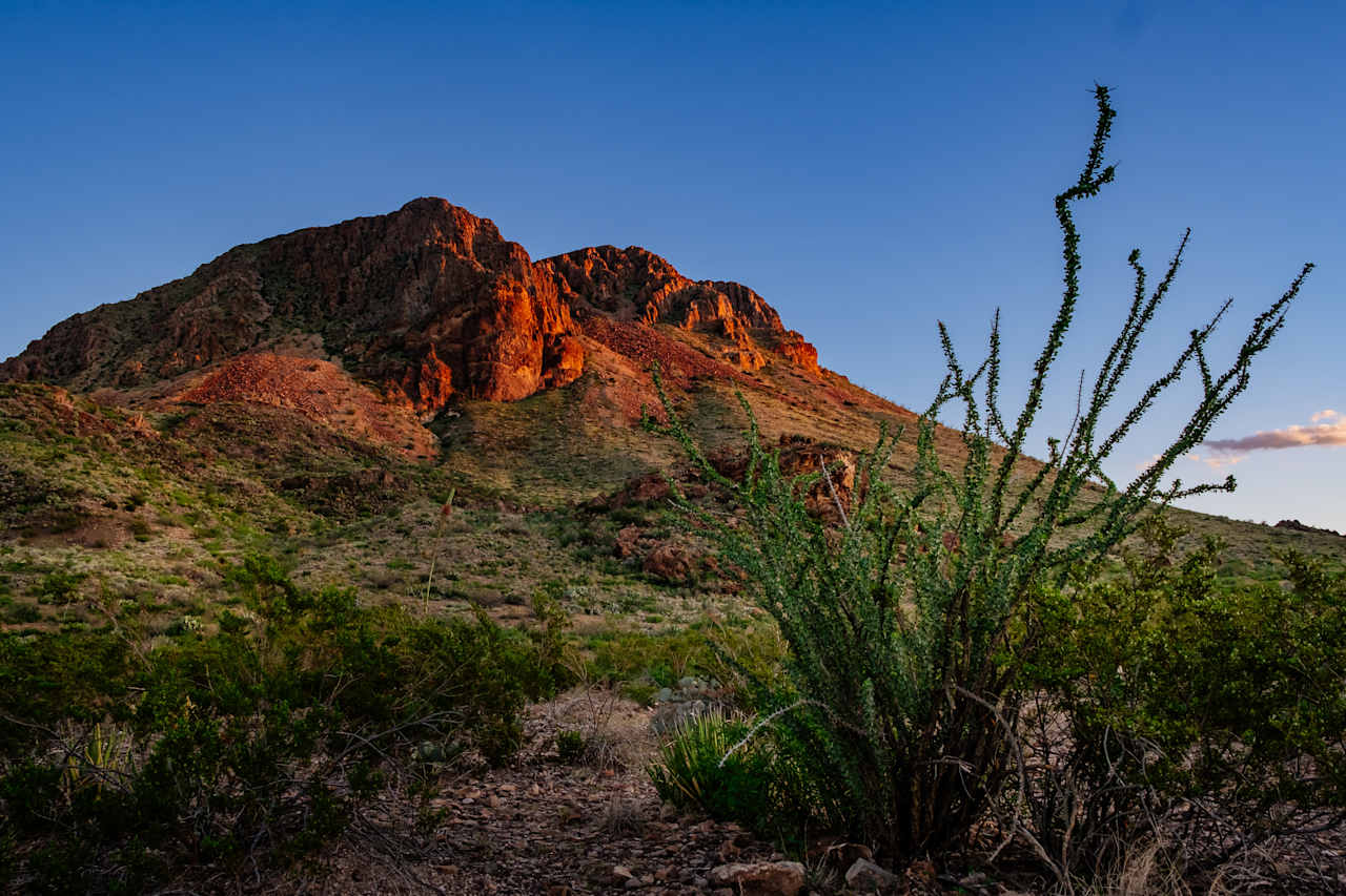 Big Bend National Park nearby