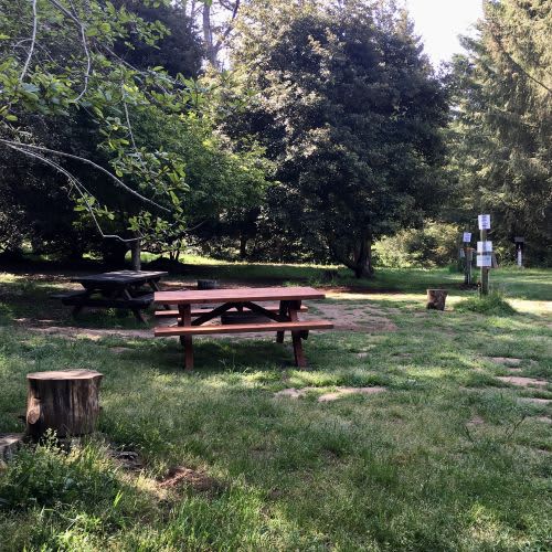 Jug Handle Creek Farm