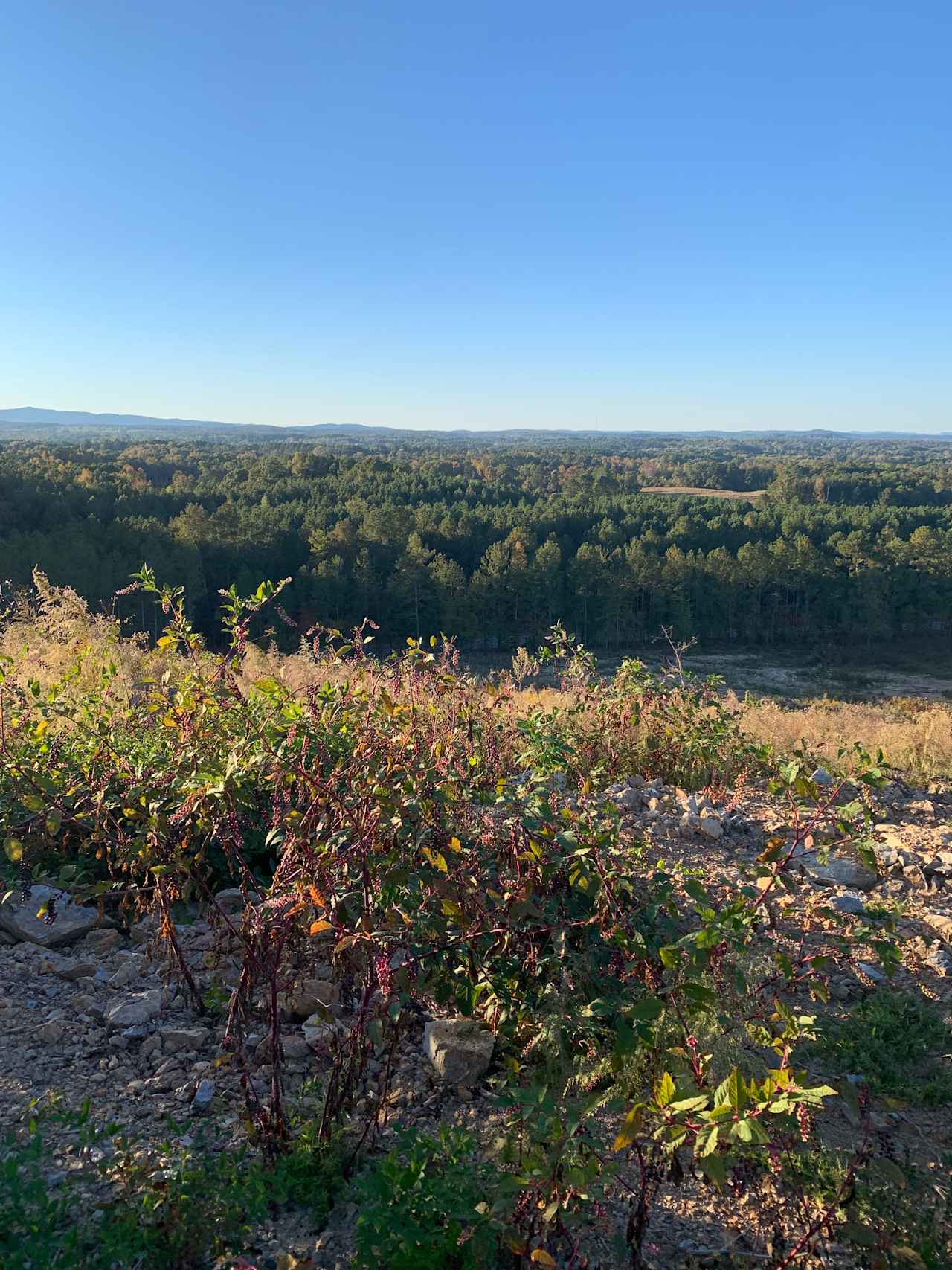 Appalachian Foothills Farm