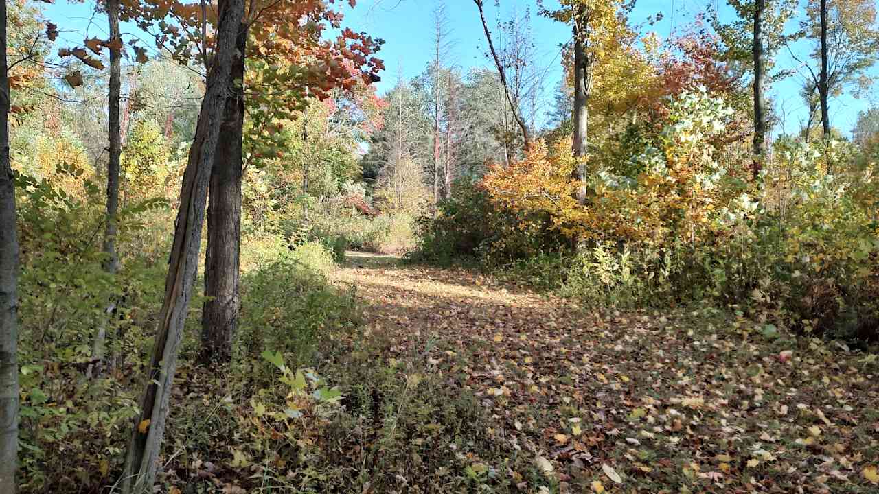 Future site of Little Creek Camp