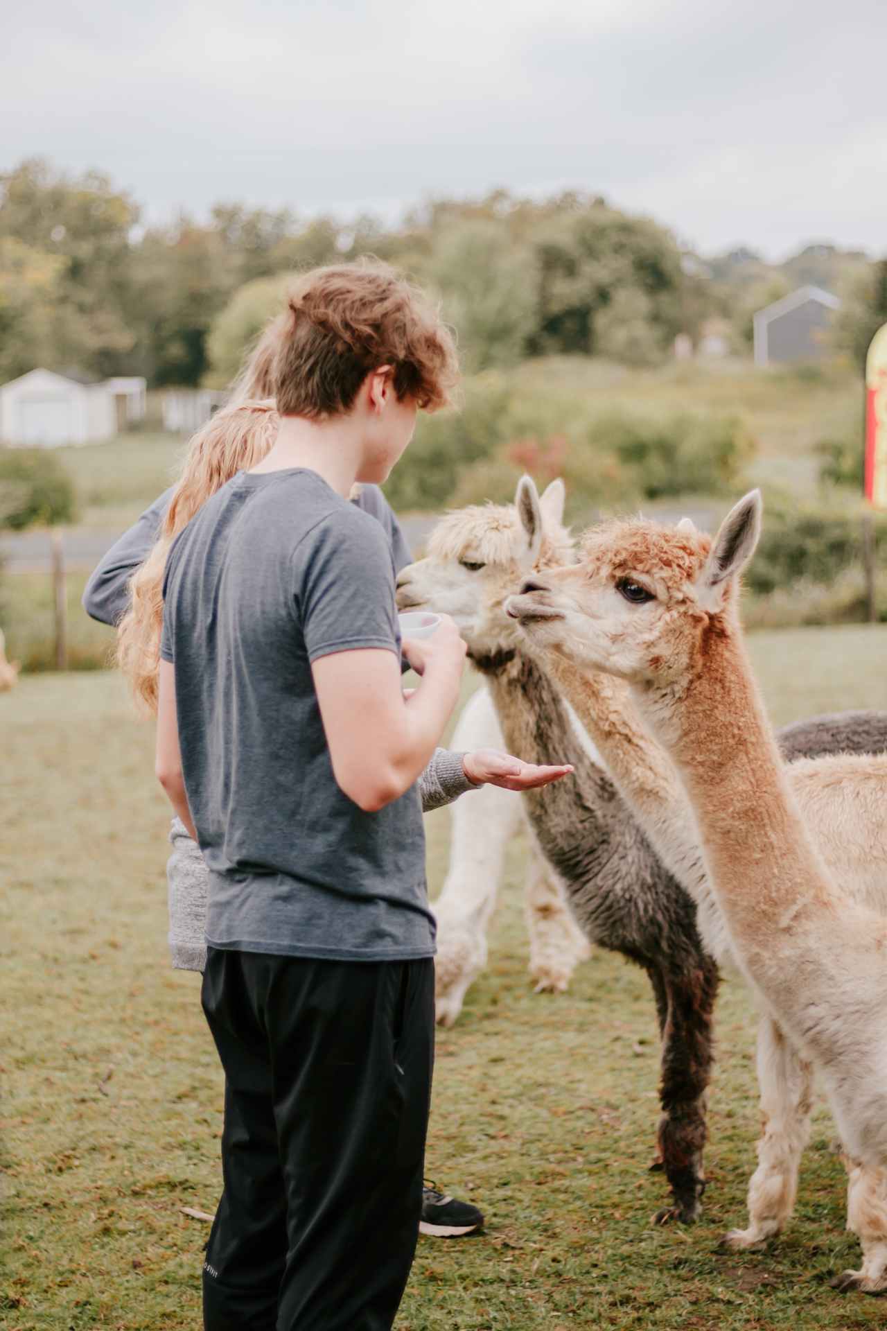 Evergreen Oasis Farm