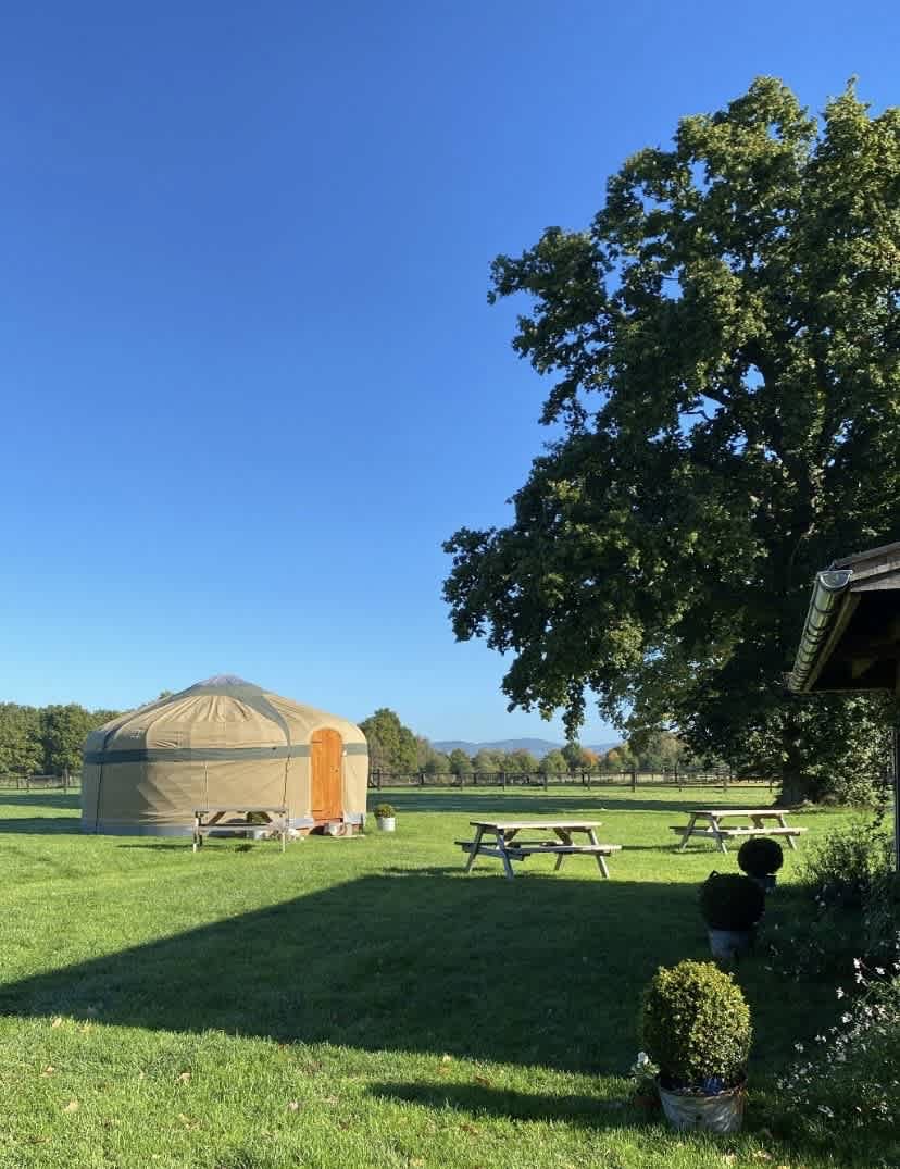 Our yurt in situ! With the bell tent season finished you will have the field to yourselves in the Autumn/Winter months. 