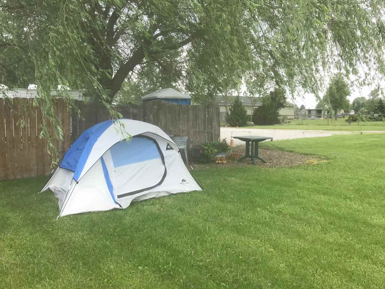 The Wayside Tent Camper can set their tint snugly under the shade of a willow tree, or more out in the open to view the tree line and hayfield