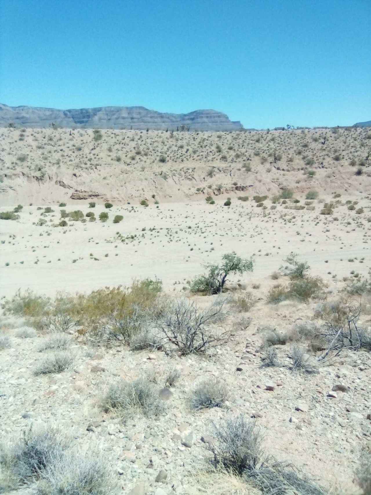 Mojave Desert Off The Grid