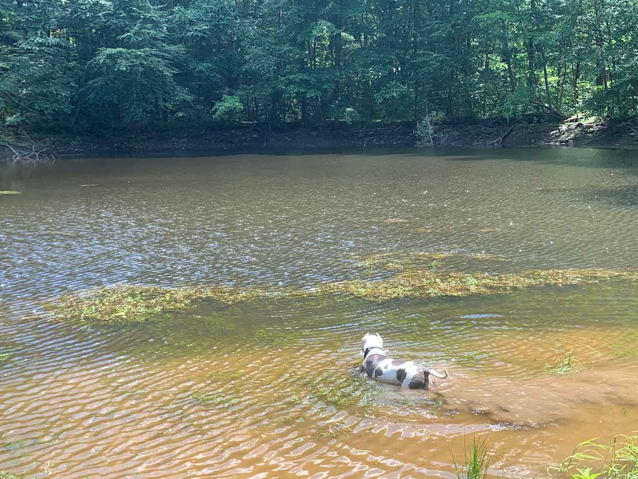 PRIVATE LAKE ON PROPERTY