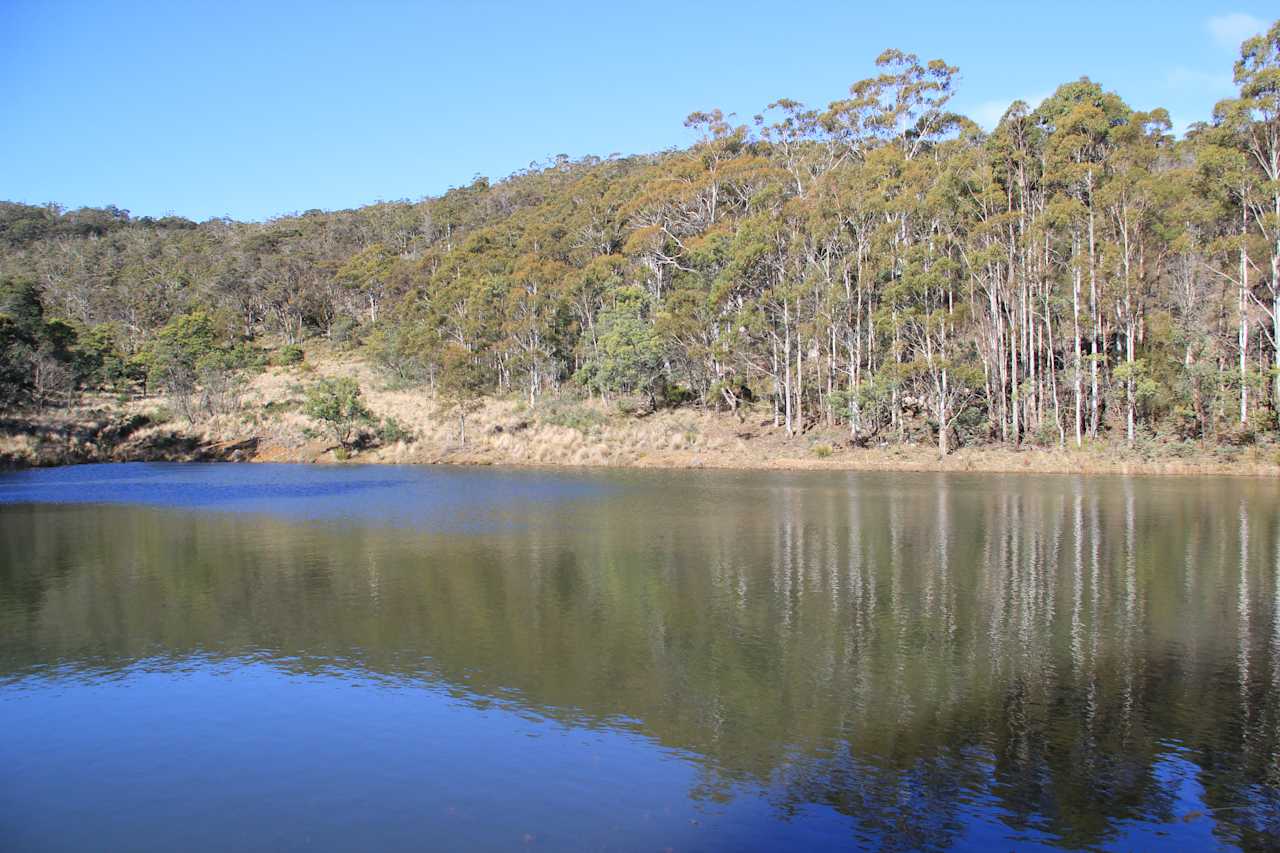 Canoe Polo Dam (yes, when the local team doesn't play, it's a beaut swim spot!)