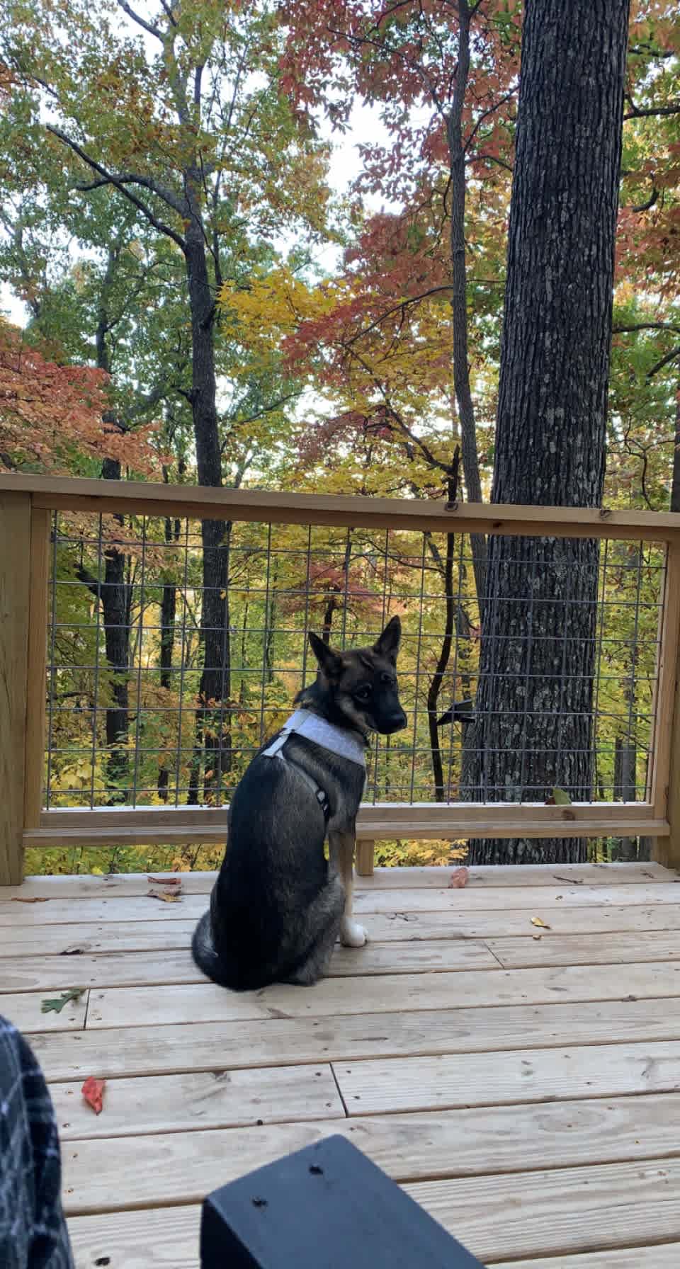 Enjoying the view 