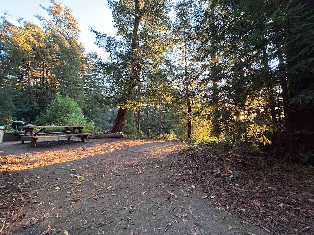Mornings at Fern Ridge Flats