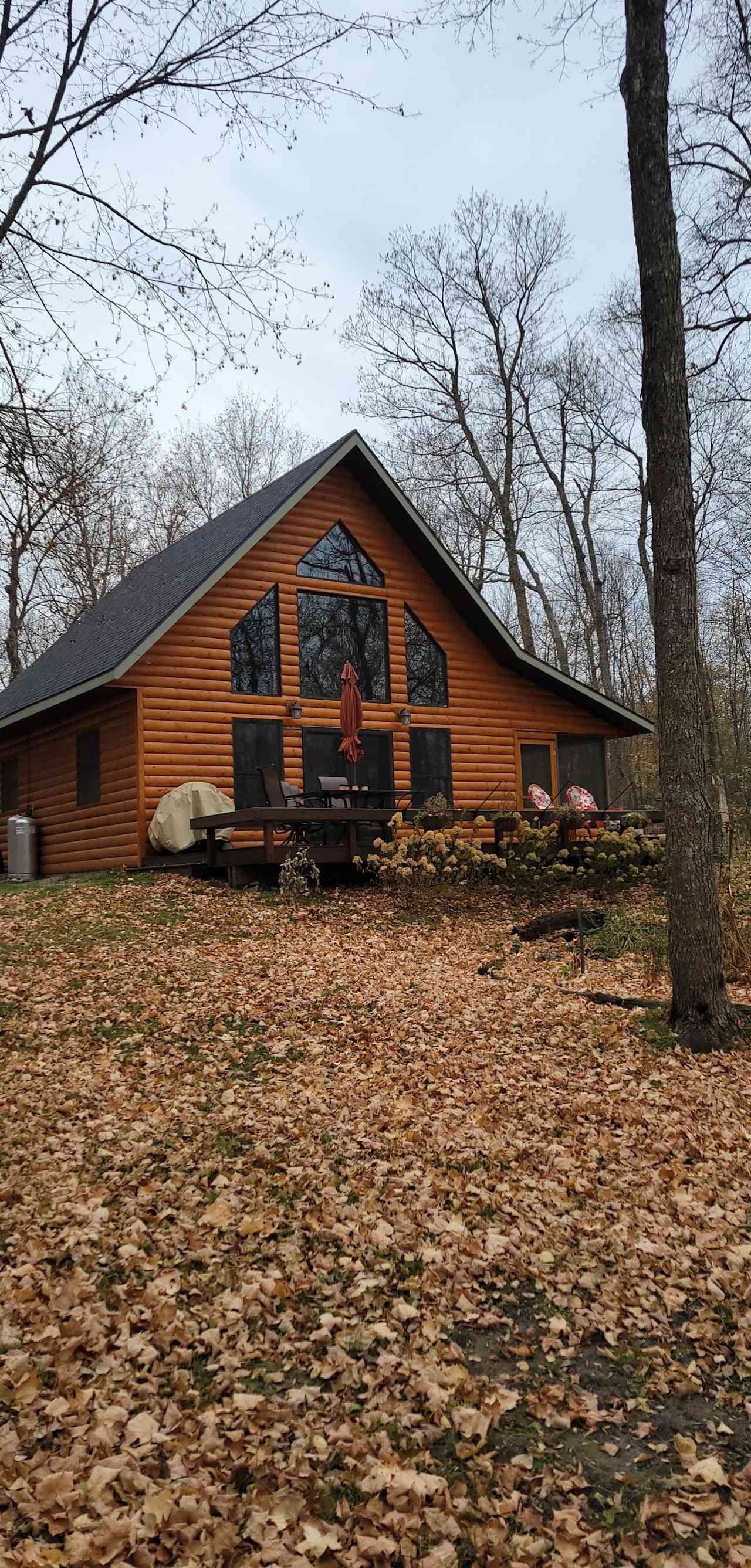 Strawberry Lake Cabin