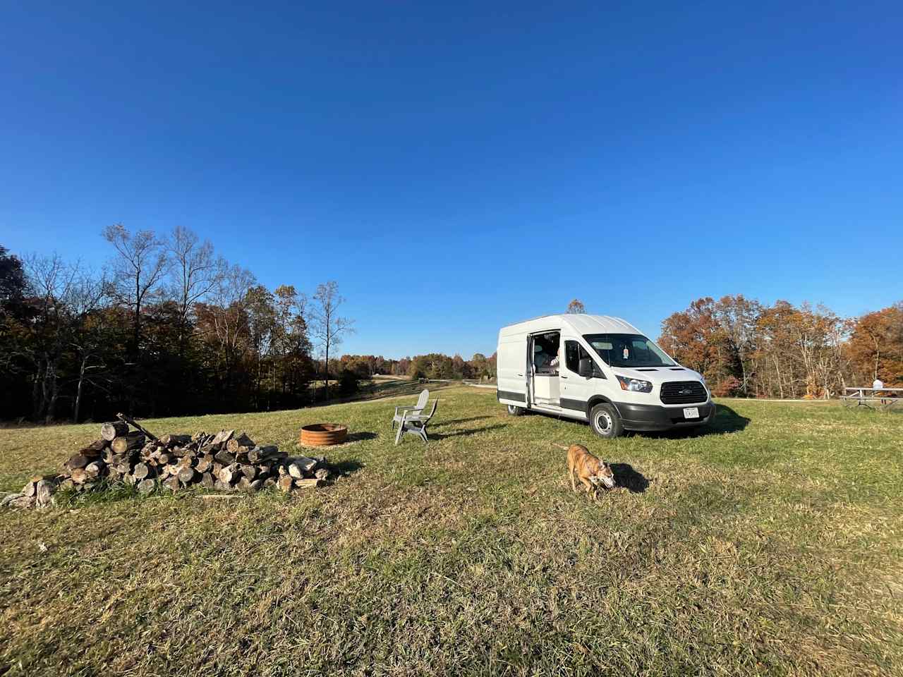 Sycamore Creek Camp