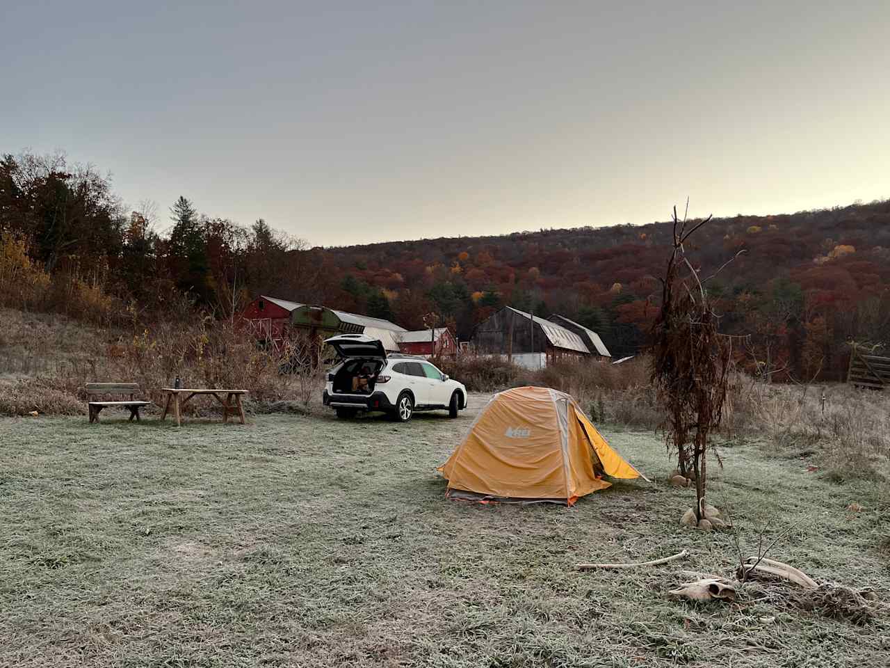 Turtle Bend Farm