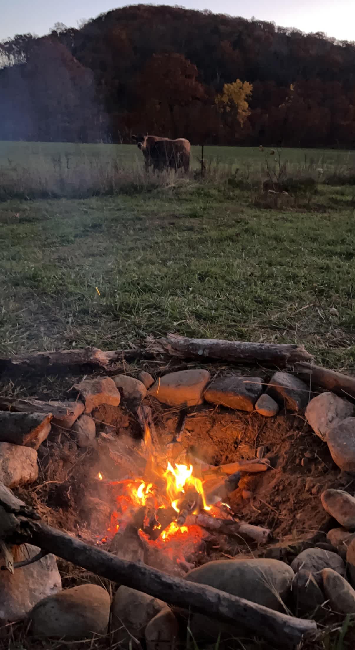 Turtle Bend Farm