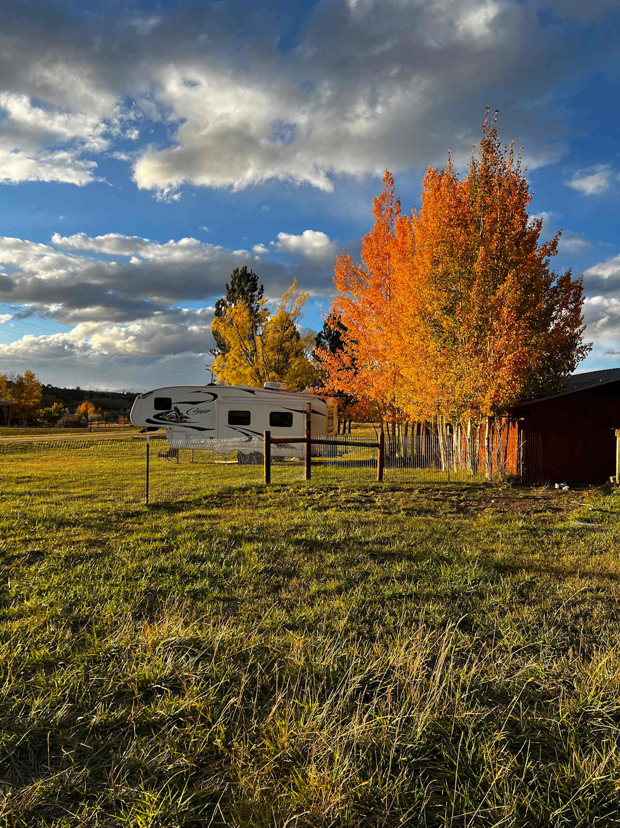 Juniper Moon Homestead