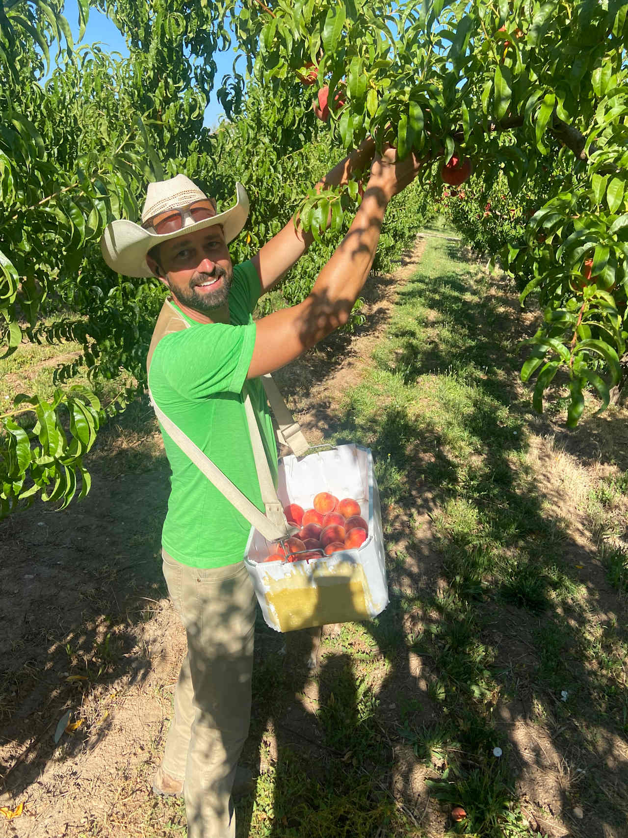 Working orchard