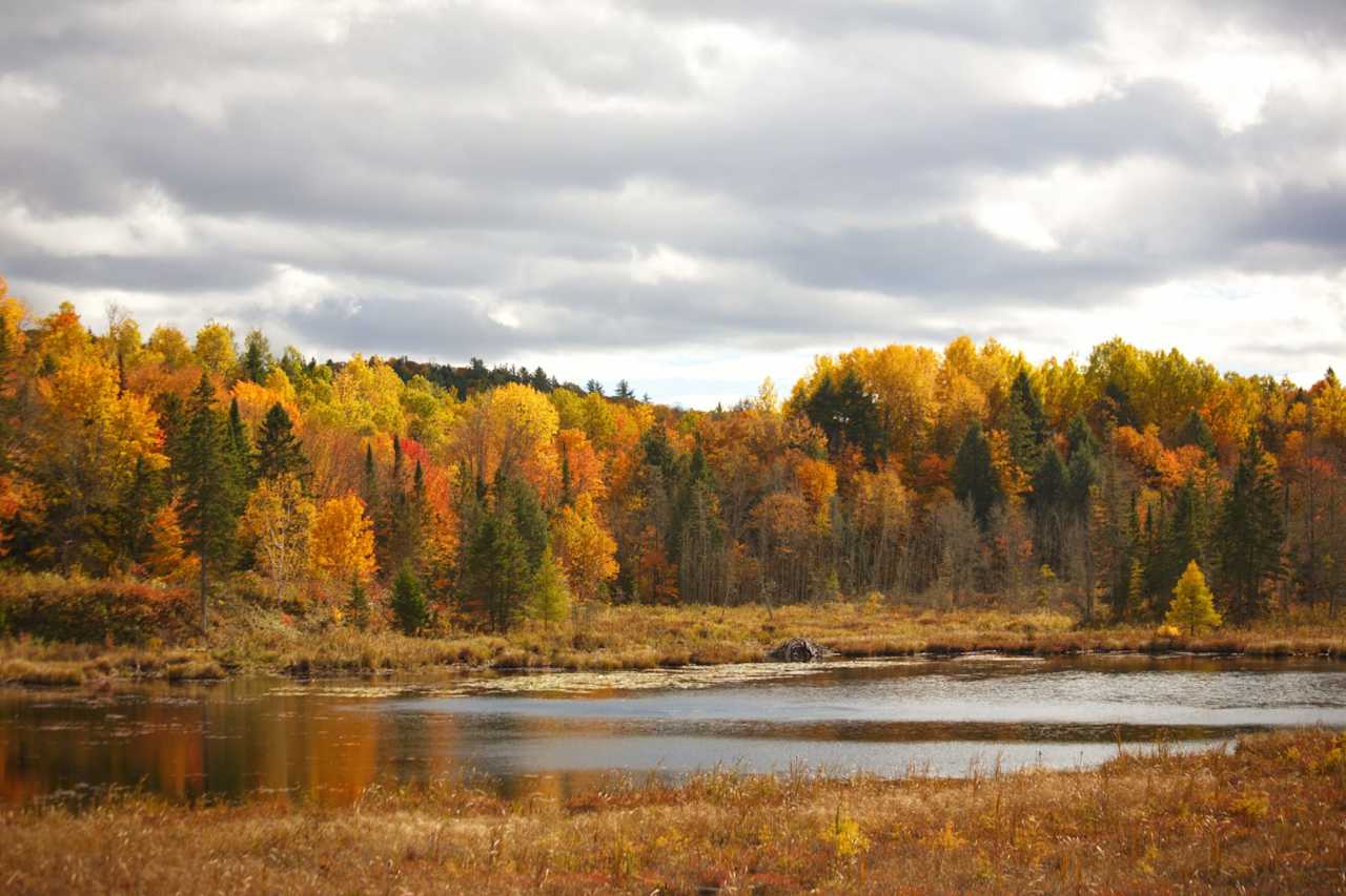 View from Campsite Fall