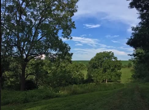 McKee Farm - Treehouses and Camping