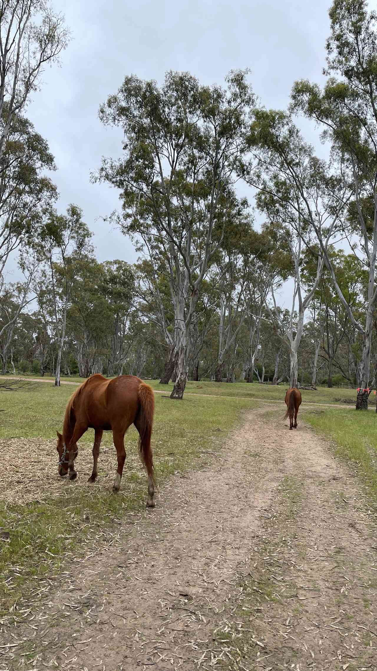 Farmland Camp